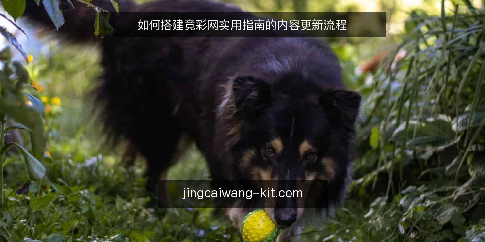 如何搭建竞彩网实用指南的内容更新流程 — 现状盘点:摸清内容底数 配图