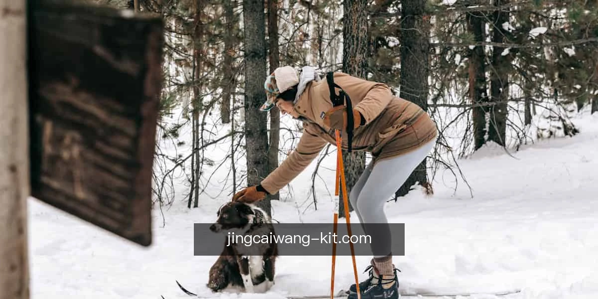 竞彩网入门
